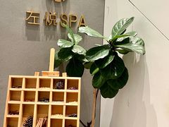 -左悦·艾灸调理·推拿按摩·精油SPA(卓悦汇店)