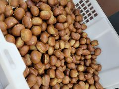 -阿男野栗王(金门路店)