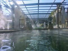 -苏州湾王焰温泉度假酒店
