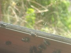 -蚝乡农庄(铁涌赤岸店)