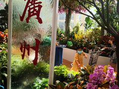-广州白云国际机场-T2航站楼