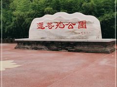 -莲花池公园