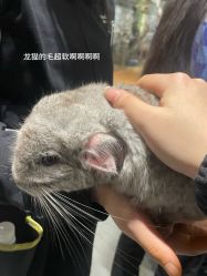 -Zoolung Zoolung动物主题公园(海信广场店)