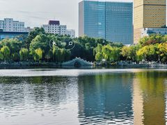 -文瀛公园