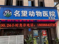 -瑞派名望24h动物医院异宠专科·猫专科·骨科·重症监护分院
