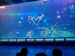 -泉城欧乐堡海洋极地世界