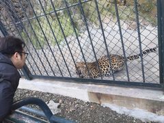 -大连森林动物园