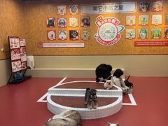 -和它·交个朋友·狗咖猫咖(爱琴海店)