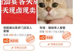 -有喵·猫咖·狗咖·30几只猫10只小狗(岗厦店)