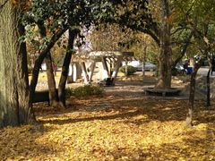 -南京林业大学-图书馆