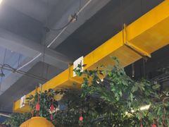 -成老灶火锅鸡(平山店)