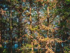 -南京金牛湖风景区