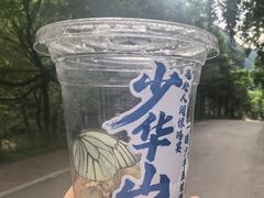 -少华山国家森林公园