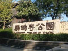 -鹦鹉寺公园