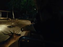 -清迈夜间动物园