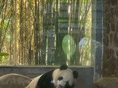 -海南热带野生动植物园
