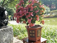 -广州雕塑公园