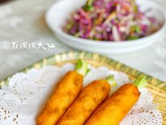 -丁老爷子苏香圆