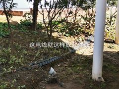 -上海海昌海洋公园