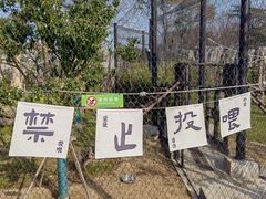 -武汉动物园