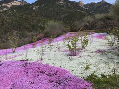 -昆嵛山石门里景区