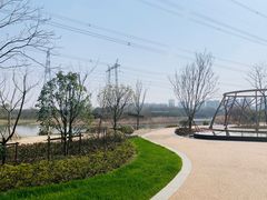 -昆山城市生态森林公园