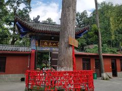 -黔灵山公园