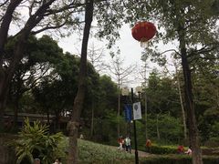 -云溪植物园