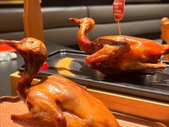 -羽鸽集·乳鸽专门店·地道顺德菜(岭南站店)