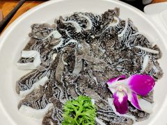 -凰吉园