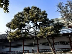 -莲池书院博物馆