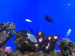 -海合安武汉极地海洋公园