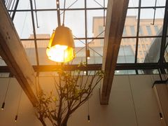 -大树餐厅(红旗街万达店)