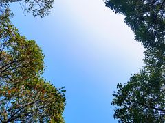 -上海吴淞炮台湾国家湿地公园