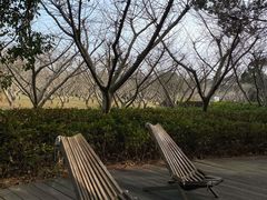 -同里国家湿地公园