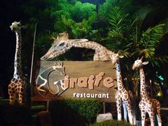 -清迈夜间动物园