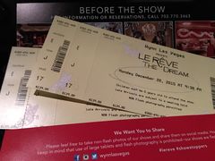 show-拉斯维加斯永利酒店