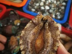 -清水湾3号(东方小周海鲜店)