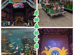 -西双版纳原始森林公园