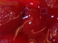 -龙兴·动物奶油生日蛋糕(龙北店)