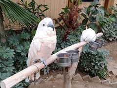 -南宫五洲植物乐园