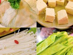 毛肚-小龙坎老火锅