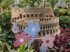 -南宫五洲植物乐园