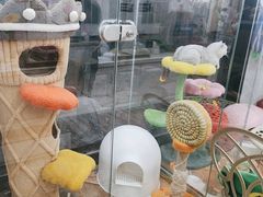 -糯米喵星人总部直营旗舰店·猫舍·幼猫出售