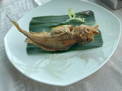 -上海新锦江大酒店