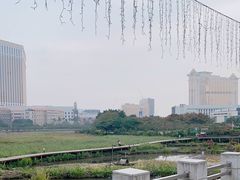-龙环葡韵住宅式博物馆