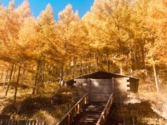 -苏木山森林公园