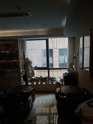 -碧莲盛·不剃发植发