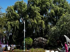 -水上乐园·欢乐世界