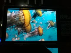 -同济大学四平路校区深海探索馆